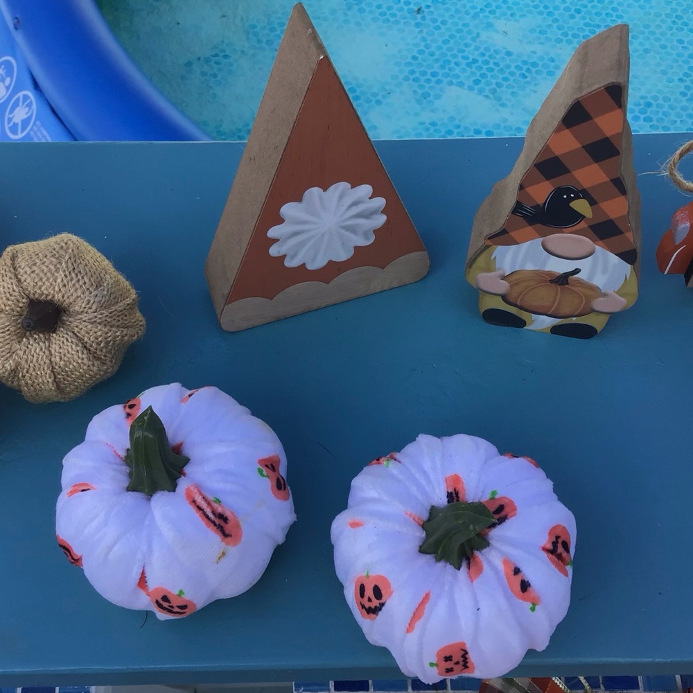 Decorative Fall Tray Accessory Bundle - Picture 4 of 8